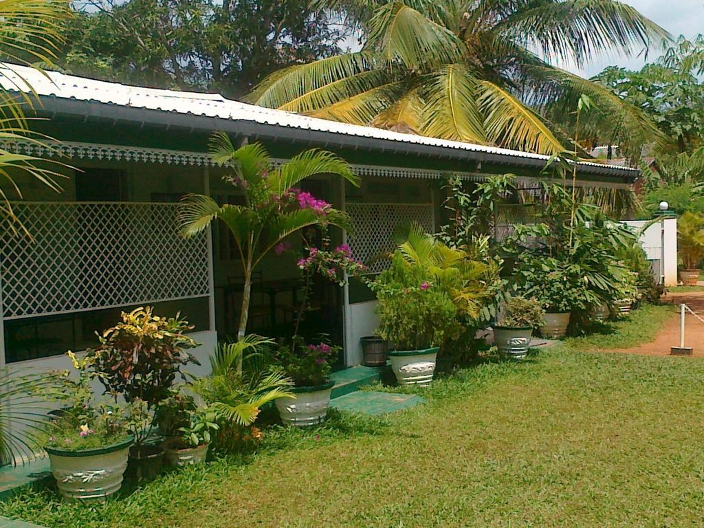 Levi's Tourist – Anuradhapura Hotel Bagian luar foto
