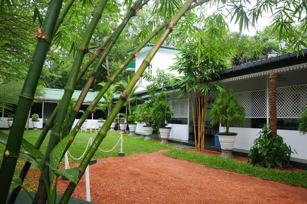 Levi's Tourist – Anuradhapura Hotel Bagian luar foto