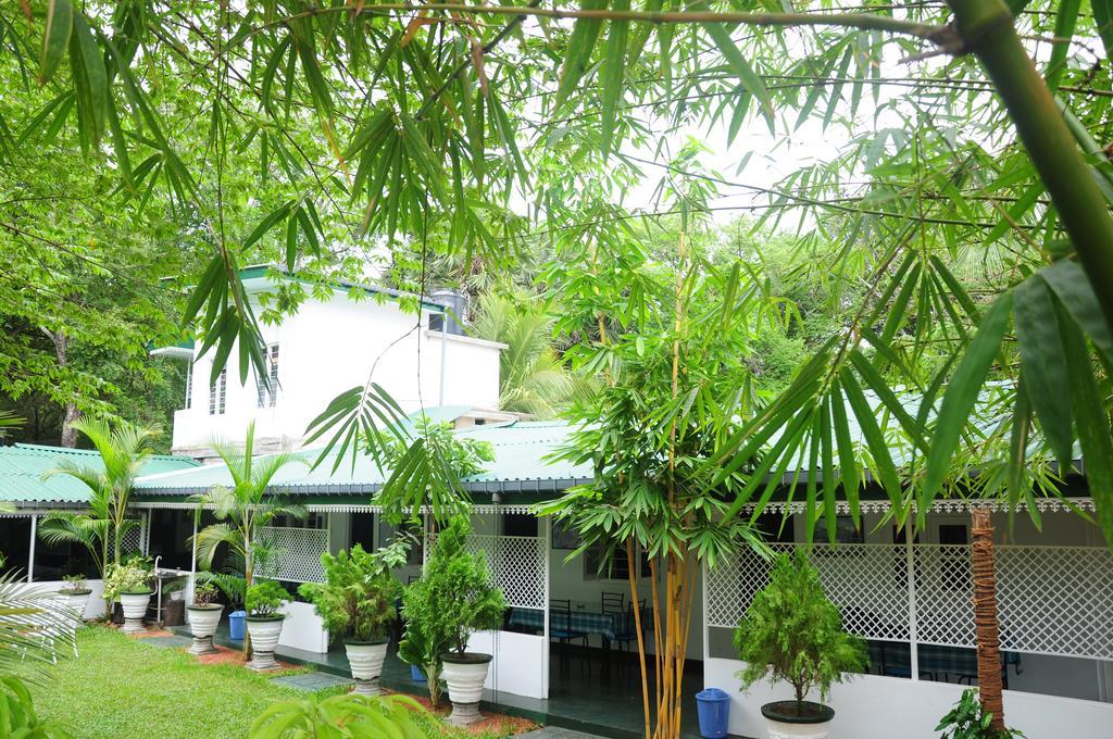 Levi's Tourist – Anuradhapura Hotel Bagian luar foto