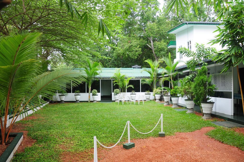 Levi's Tourist – Anuradhapura Hotel Bagian luar foto