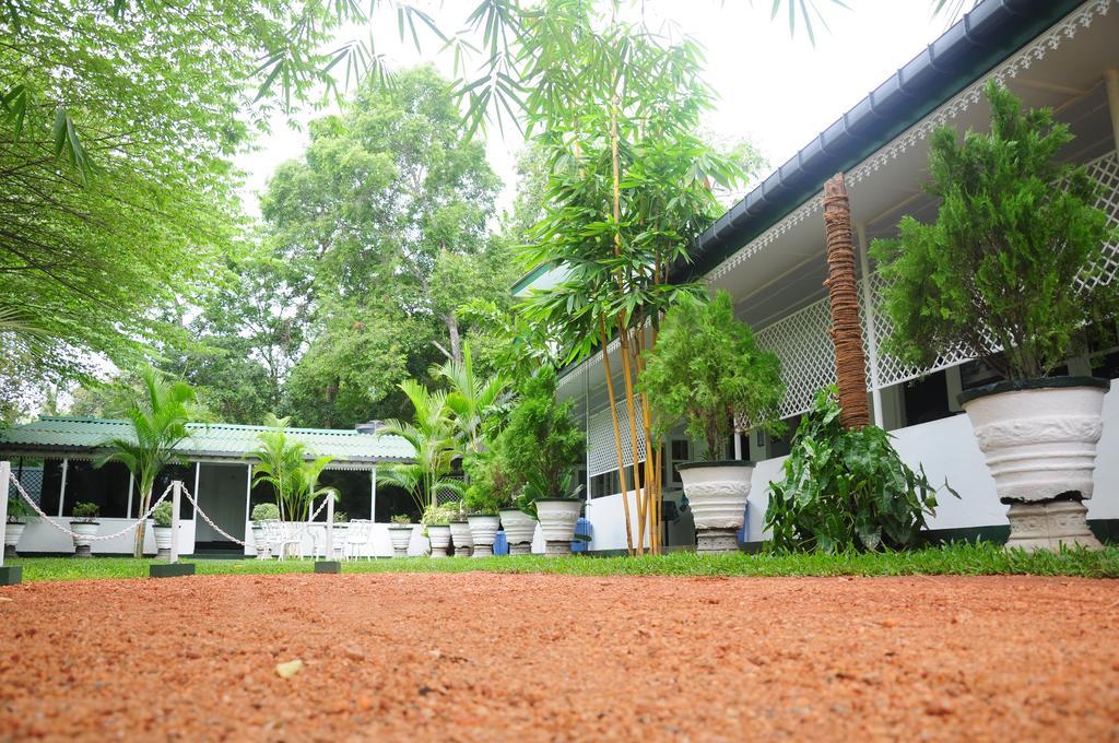 Levi's Tourist – Anuradhapura Hotel Bagian luar foto