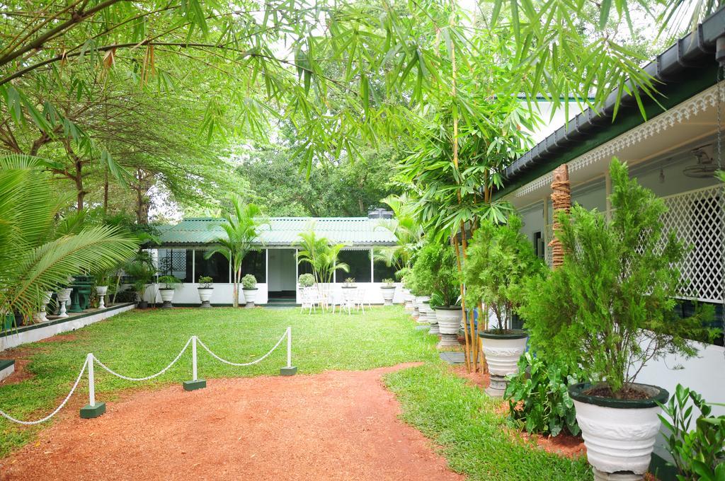 Levi's Tourist – Anuradhapura Hotel Bagian luar foto