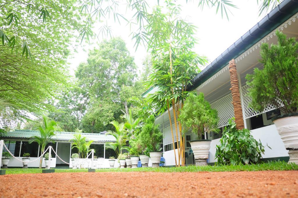 Levi's Tourist – Anuradhapura Hotel Bagian luar foto